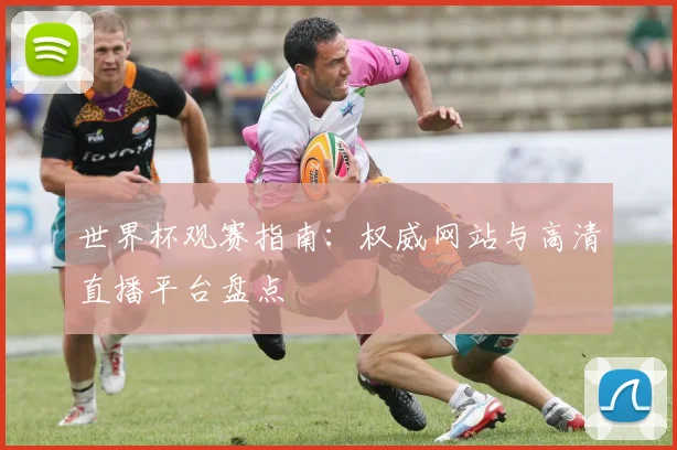 世界杯观赛指南：权威网站与高清直播平台盘点