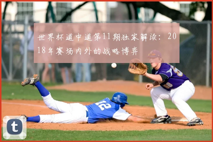 世界杯道中道第11期独家解读：2018年赛场内外的战略博弈