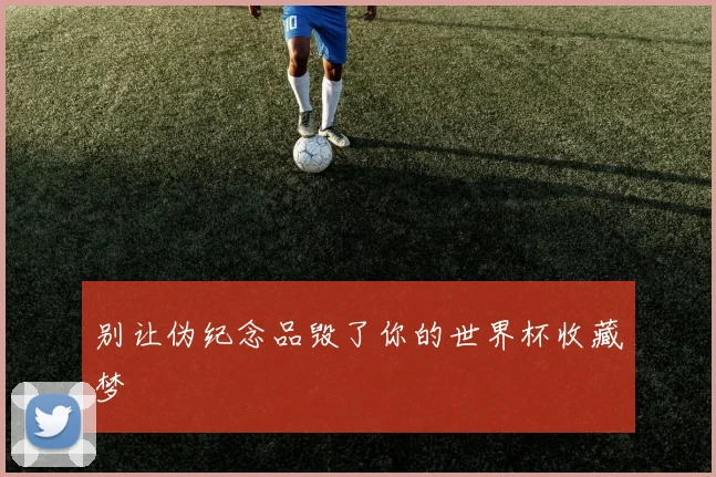 别让伪纪念品毁了你的世界杯收藏梦