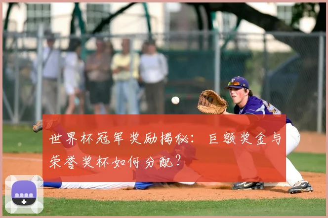 世界杯冠军奖励揭秘：巨额奖金与荣誉奖杯如何分配？